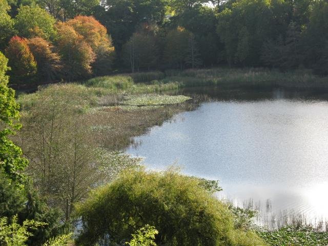 1c.May 2018. The western end of the lake. 